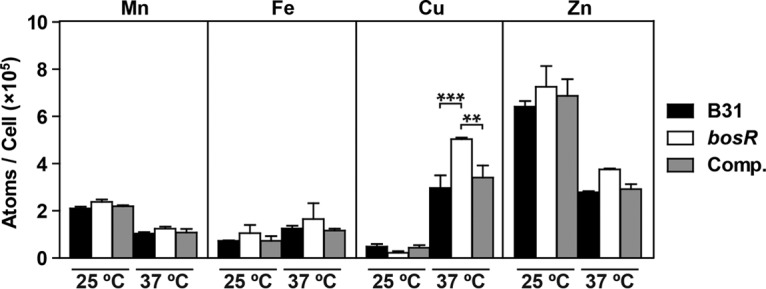 FIG 6