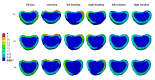 Fig. 10