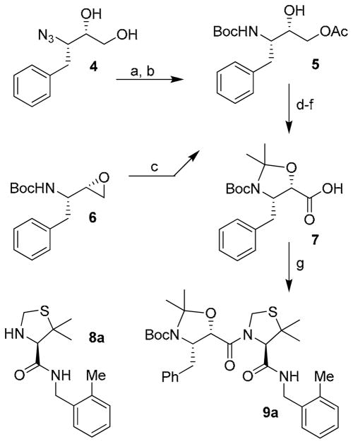 Scheme 1