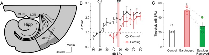 Figure 1.