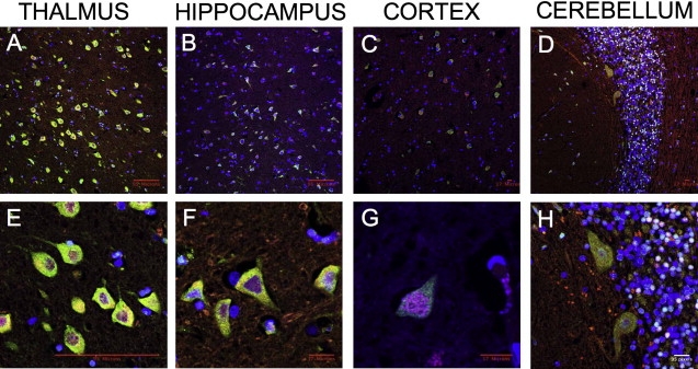 Figure 3