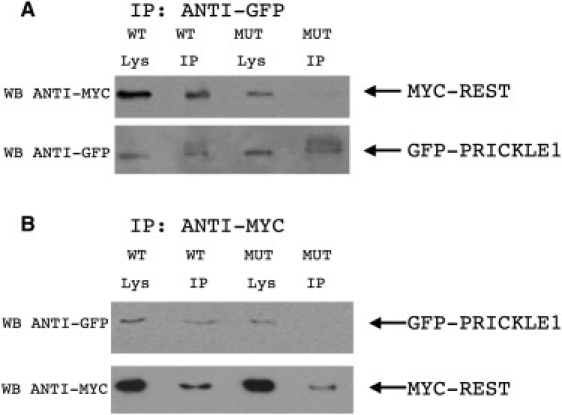 Figure 4