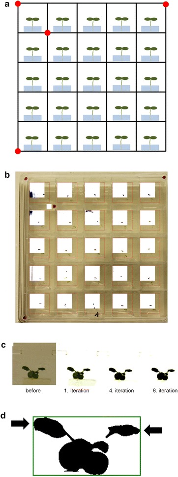 Fig. 1