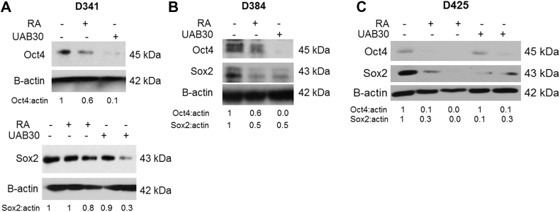 Figure 5