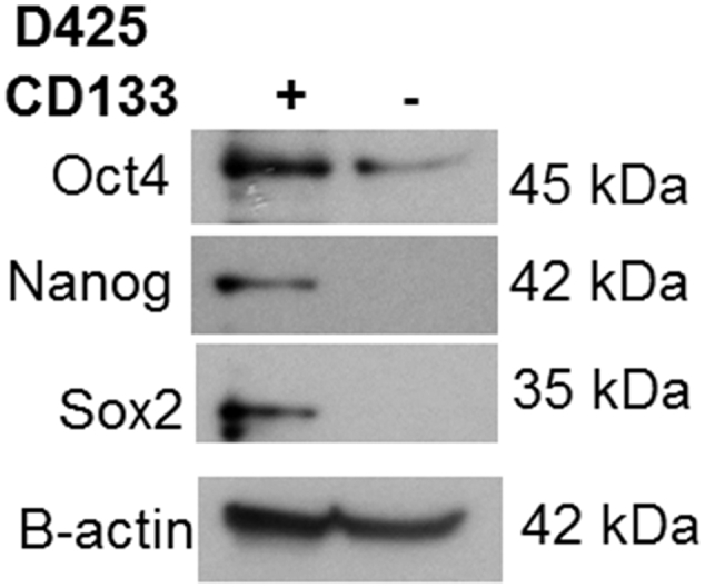 Supplementary data Figure 1