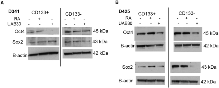 Supplementary data Figure 3