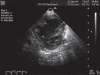 Figure 1)