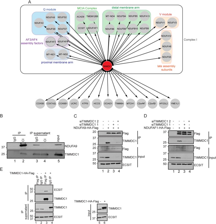 FIG 2