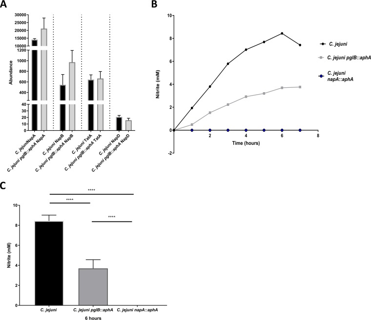 FIG 3