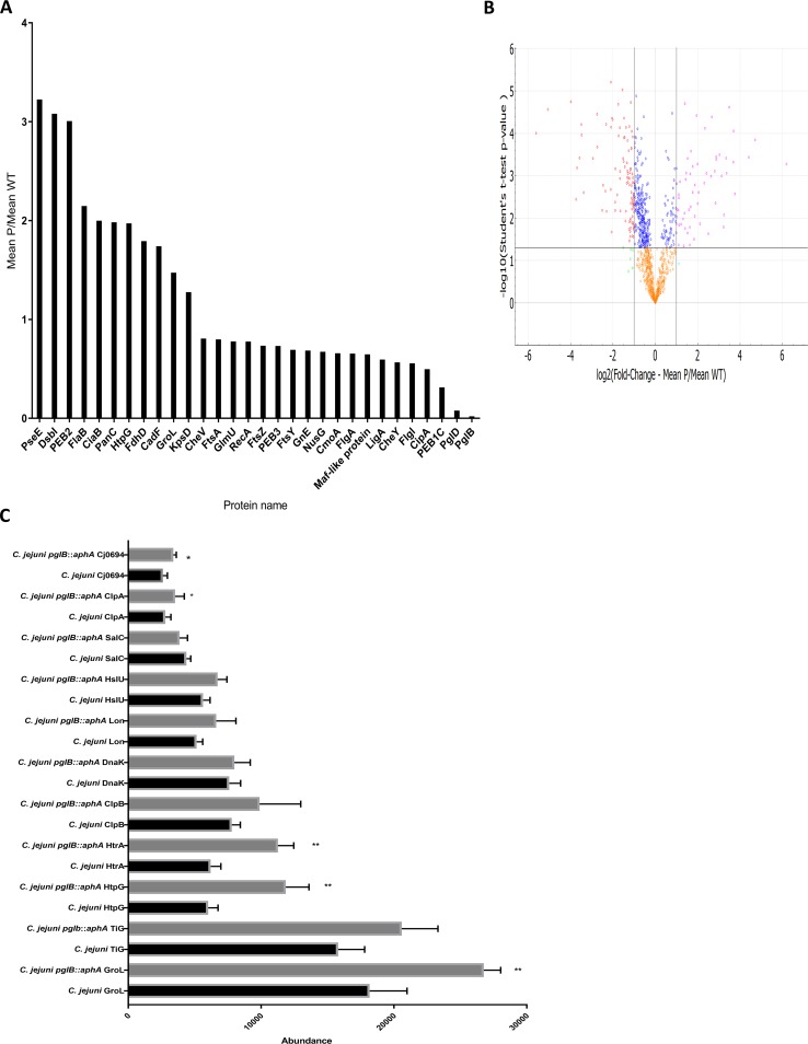 FIG 1