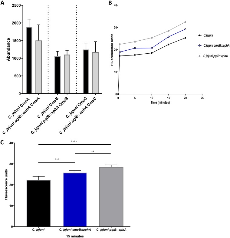 FIG 2