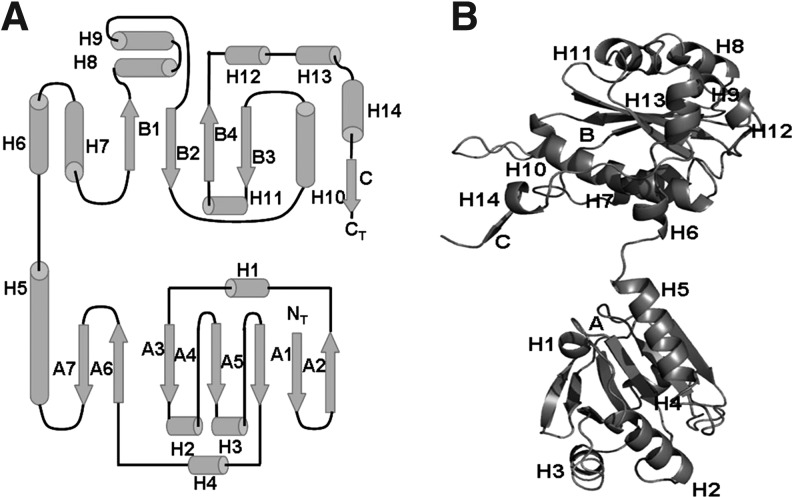 FIG. 5.