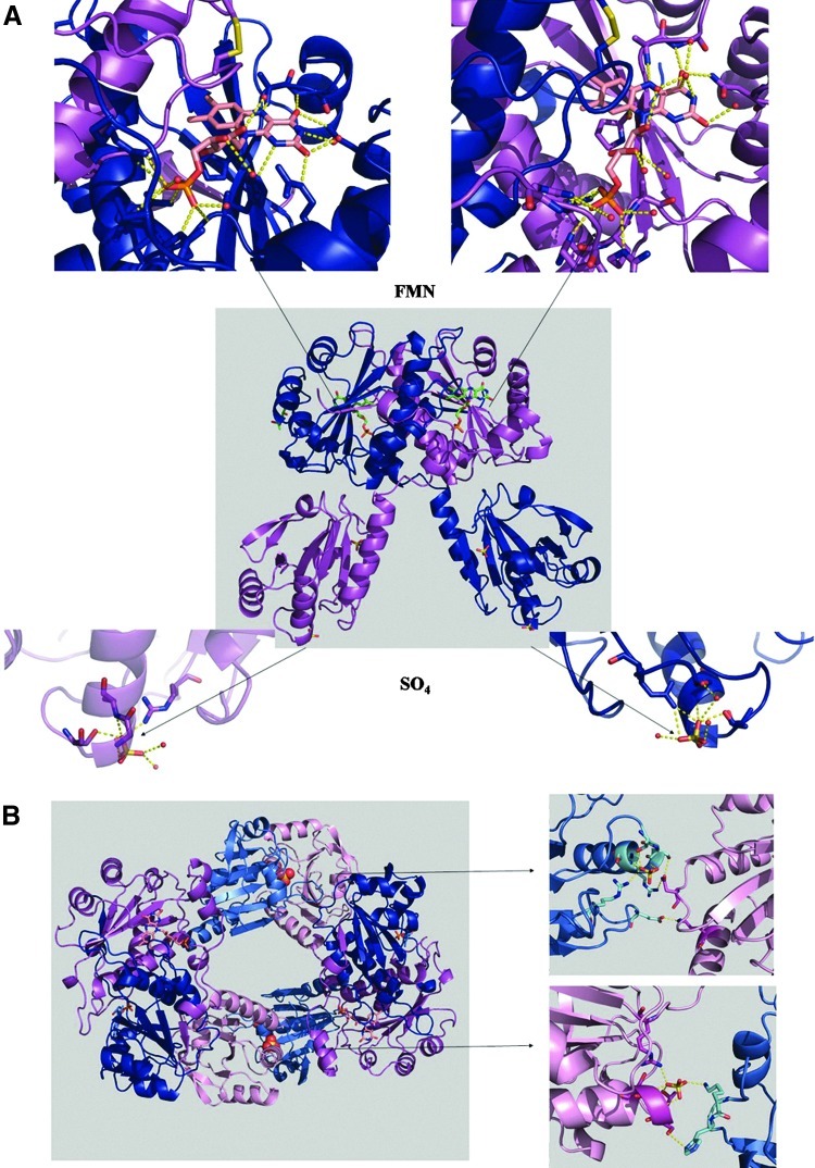 FIG. 7.