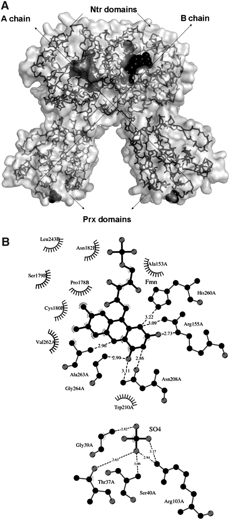 FIG. 6.