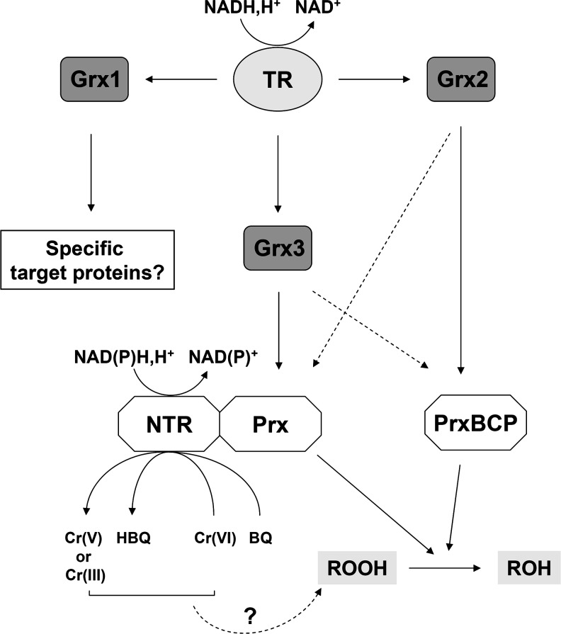 FIG. 8.