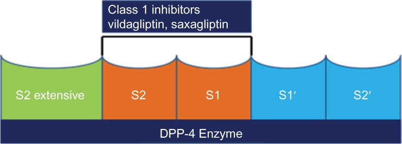 graphic file with name dmso-9-251Fig3.jpg