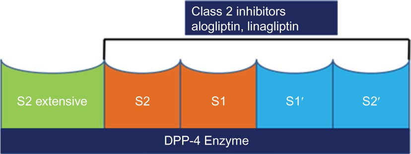 graphic file with name dmso-9-251Fig4.jpg