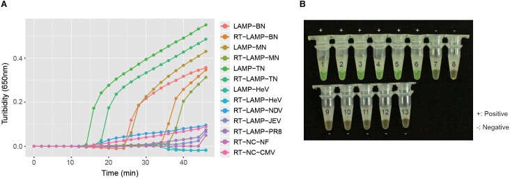 FIGURE 3