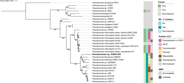 FIGURE 3