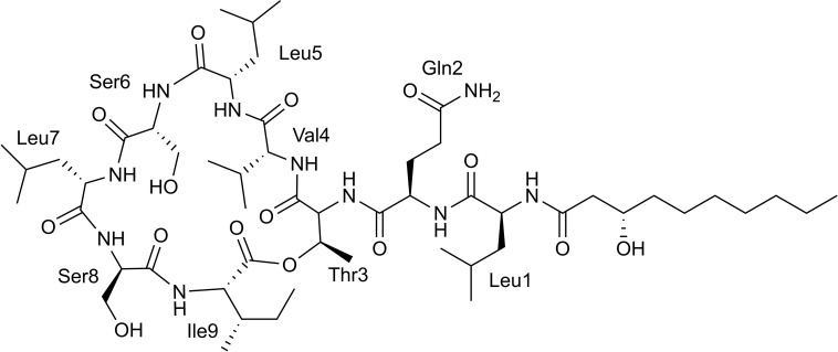 FIGURE 4