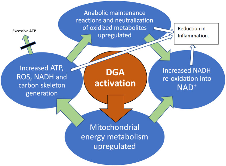 GRAPHICAL ABSTRACT