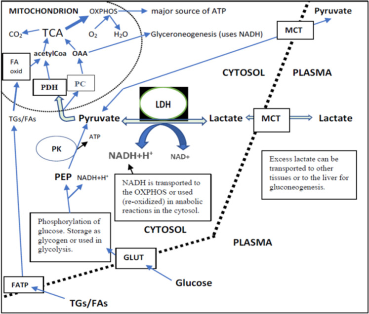 FIGURE 3