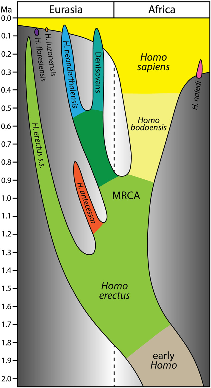 FIGURE 1