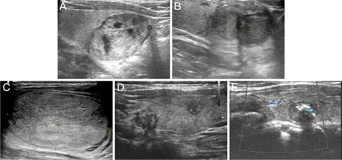 Figure 2