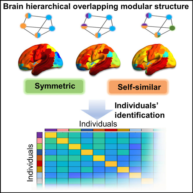 graphic file with name fx1.jpg