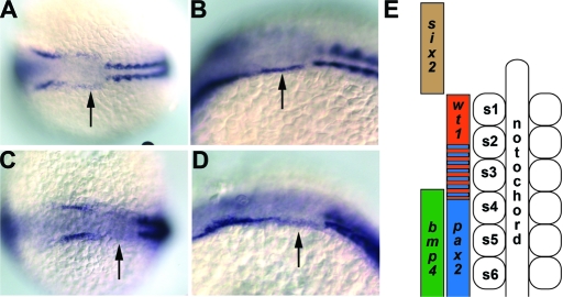 Figure 5.