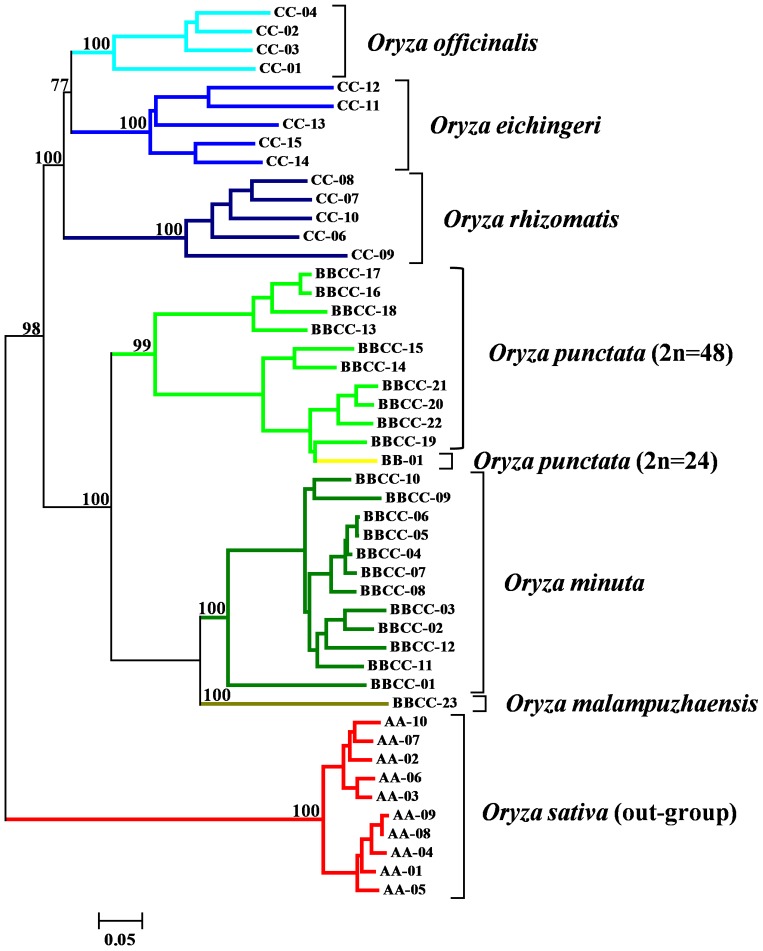 Figure 2