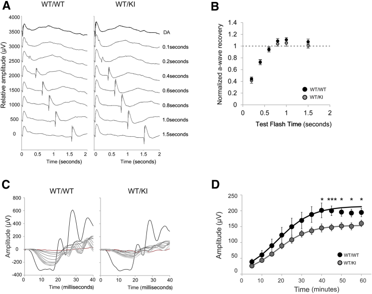 Figure 6