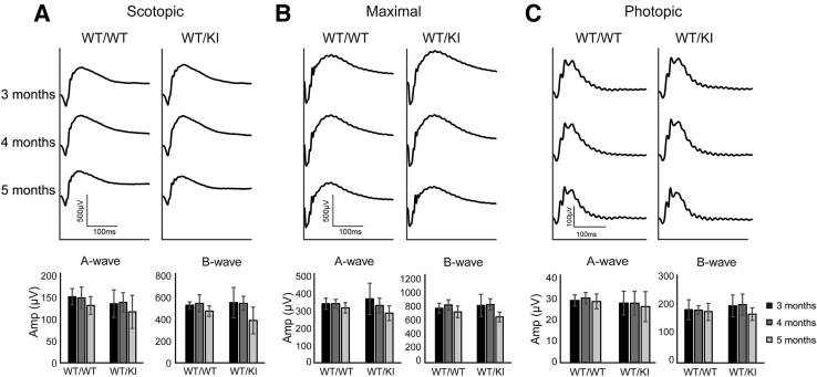 Figure 4