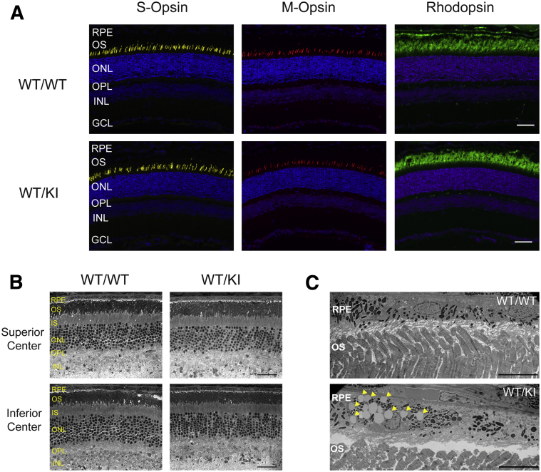 Figure 3