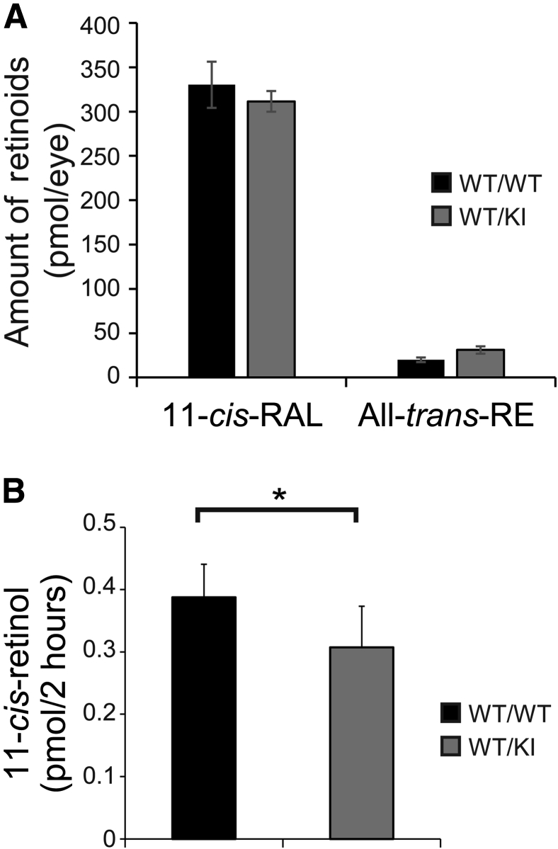 Figure 5