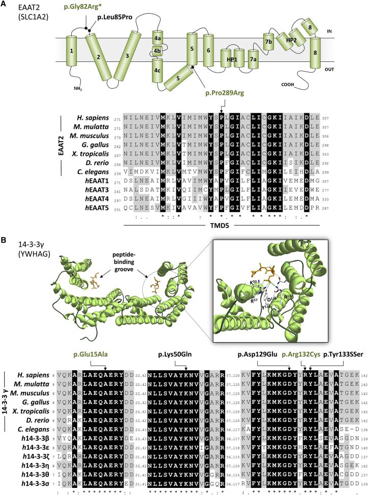 Figure 1