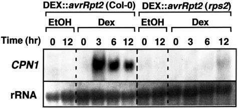 Figure 6.