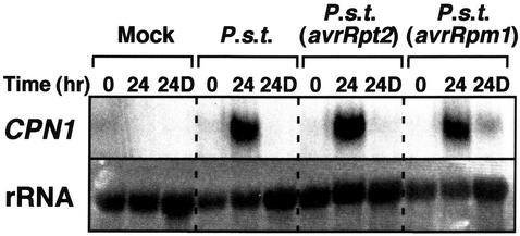 Figure 3.