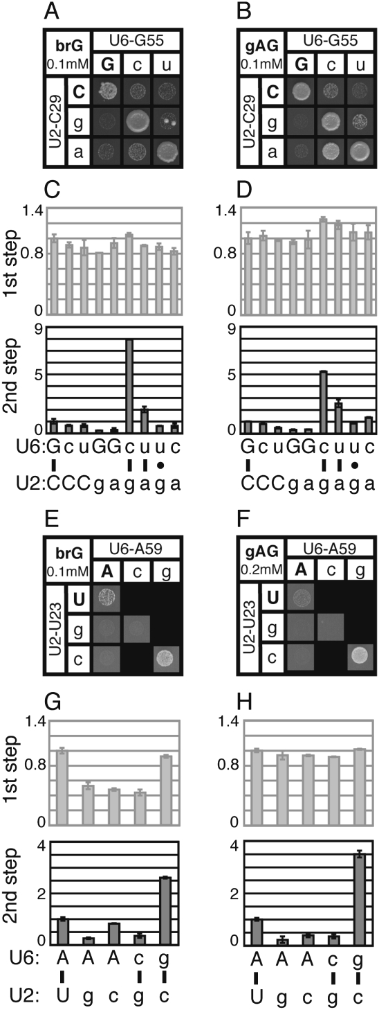 FIGURE 5.