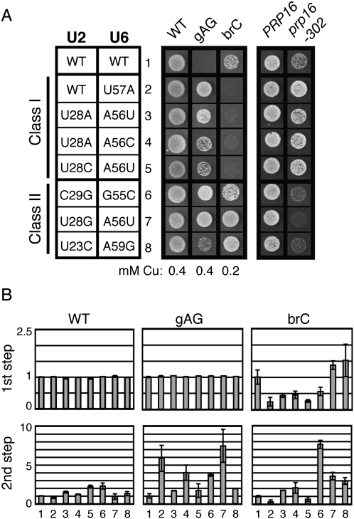 FIGURE 6.