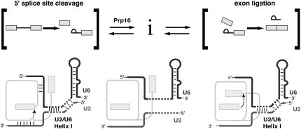 FIGURE 7.