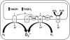 FIG. 6.