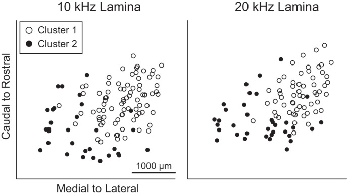 Fig. 10.