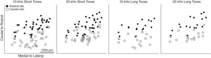 Fig. 11.