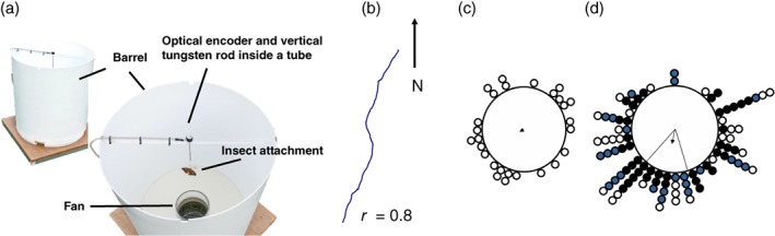 EEN-12521-FIG-0004-c