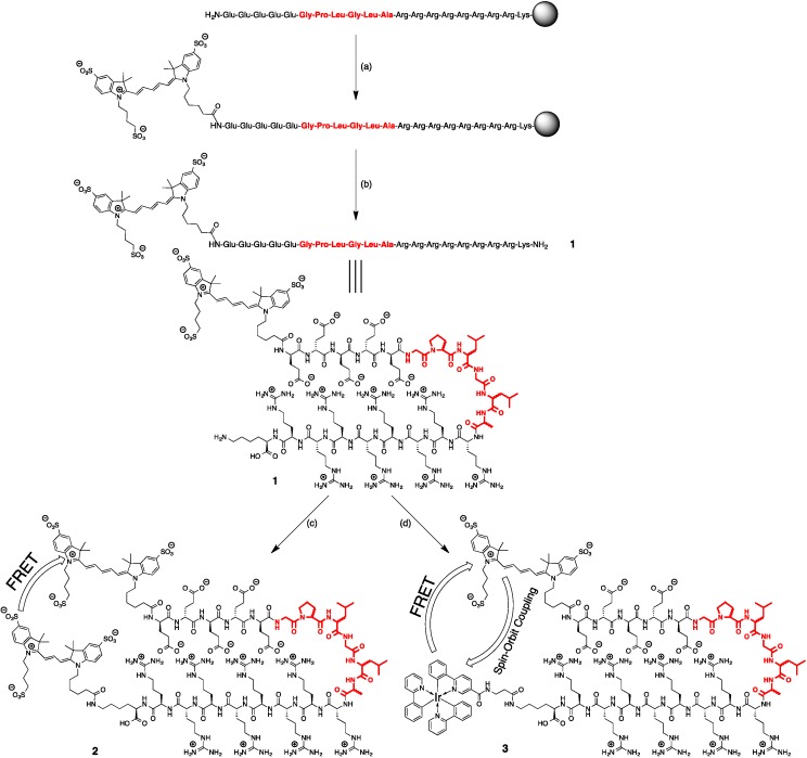 Scheme 1