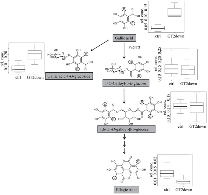 Fig. 4.