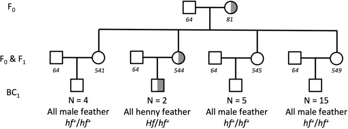 Fig. 5