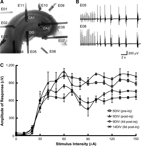 FIG. 6.