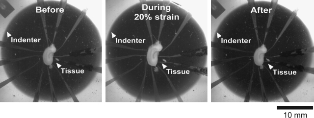 FIG. 5.